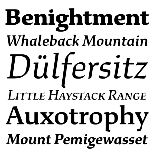 font design xyz-study-01-words