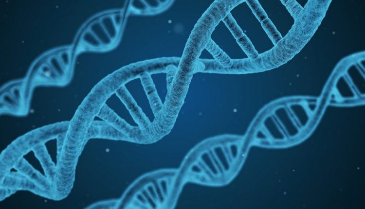 Long-read DNA analysis can give rise to errors, experts warn