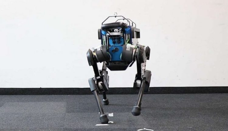 Artificial intelligence made this robot dog a very good boy