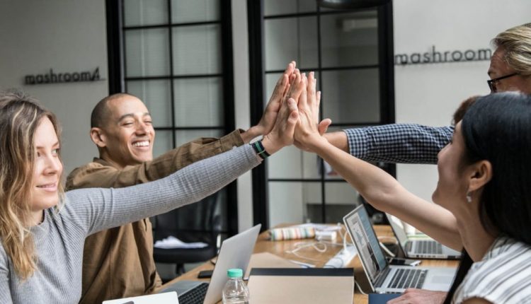 Your Fast Information to Constructing A Nice Staff