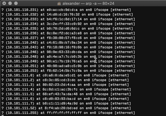 Scan Local Network Macos Terminal Arp A Output