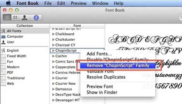 Remove Unnecessary Startup Items and Fonts