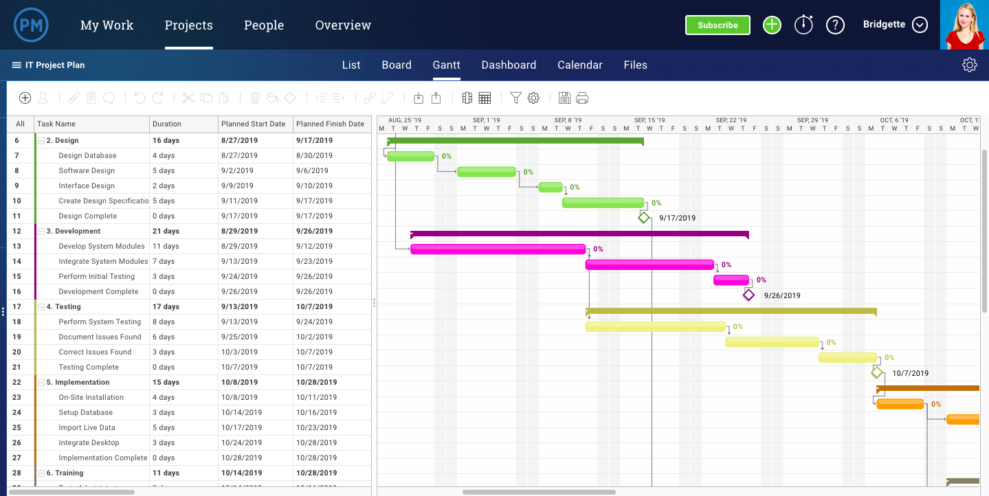 gantt chart for reporting to project sponsors