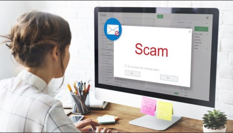 What Should You Do If You Receive a Phishing Email?