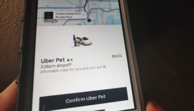 Uber Pet launches so you know Fido can ride with you