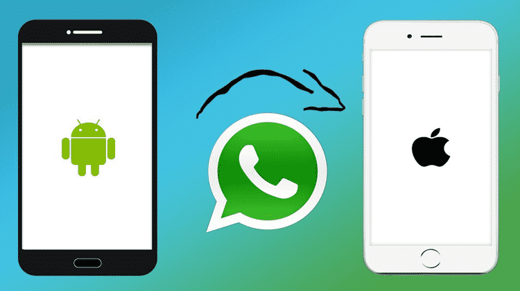 How To Transfer WhatsApp Chats From Android to iPhone