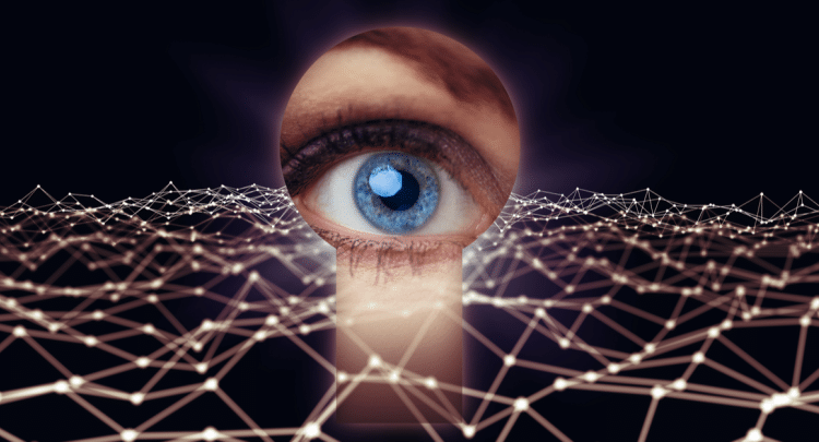 Government spyware company spied on hundreds of innocent people