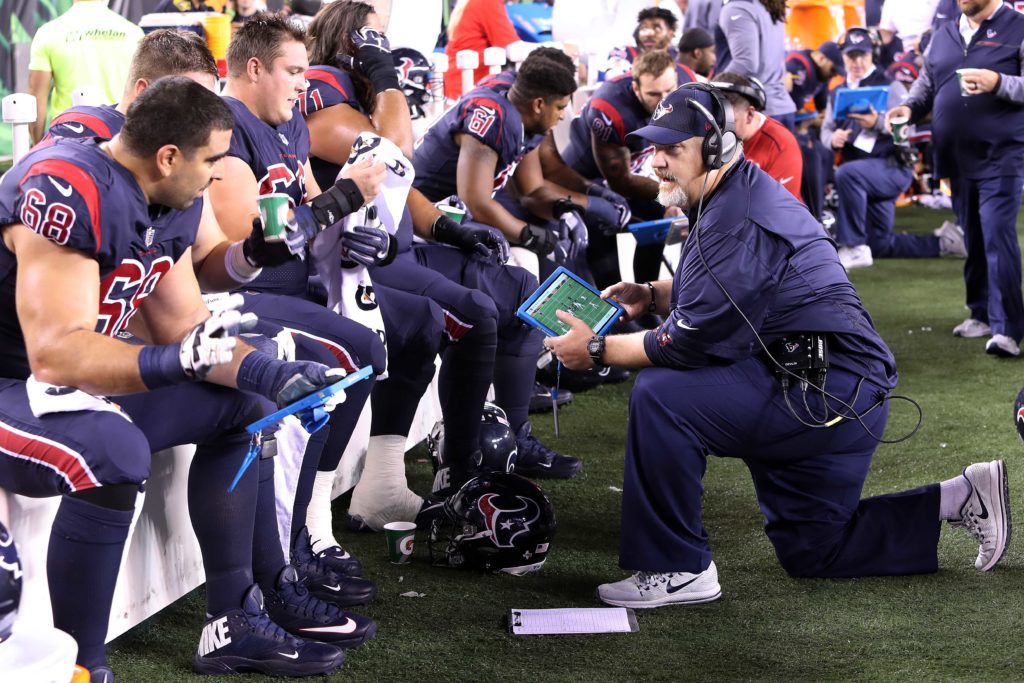 Vikings sideline viewing system