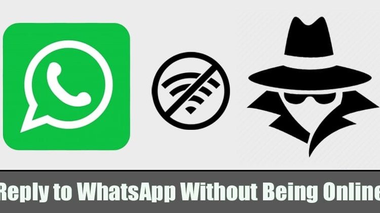 How to Reply to WhatsApp Message Without Appearing Online