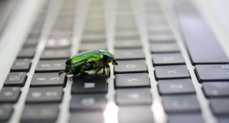 Open source bugs have soared in the past year