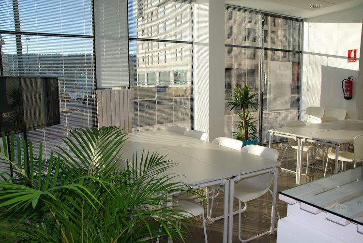 Top 10 Trends for Co-Working in 2020