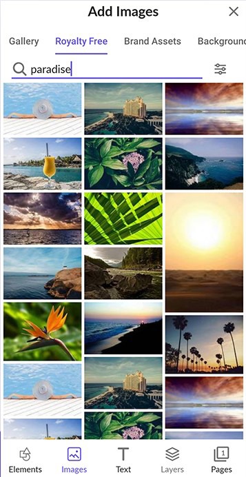 Best Tools Social Media Graphics Desygner 1