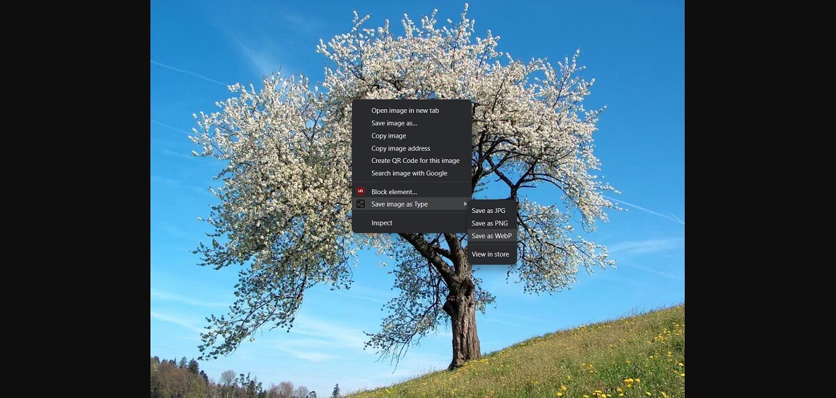 Save Image Type As extension in action in Chrome. 